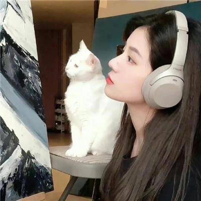 全面扫荡